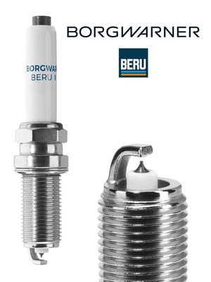 Uždegimo žvakė Z528 BorgWarner (BERU)