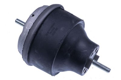 Variklio montavimas