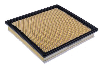 Oro filtras