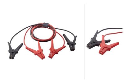 Trumpiklių laidai