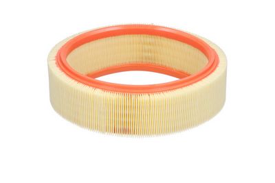 Oro filtras
