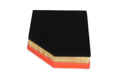 Oro filtras