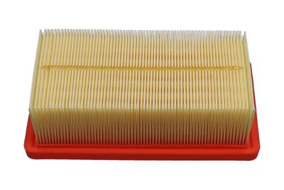 Oro filtras