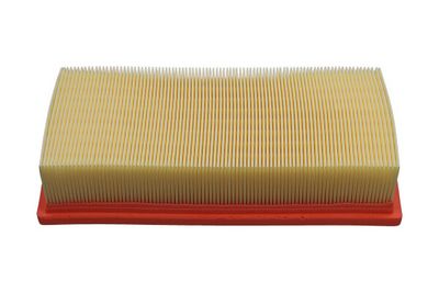 Oro filtras