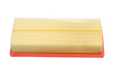 Oro filtras