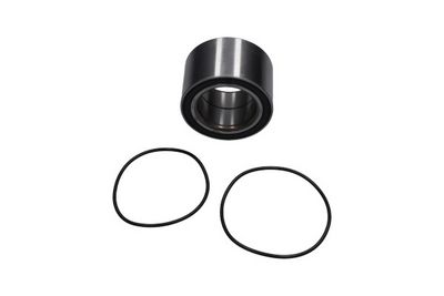 Rato guolio komplektas