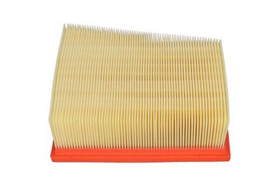 Oro filtras