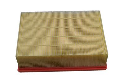 Oro filtras