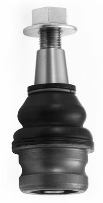 Šarnyras / girgždukas