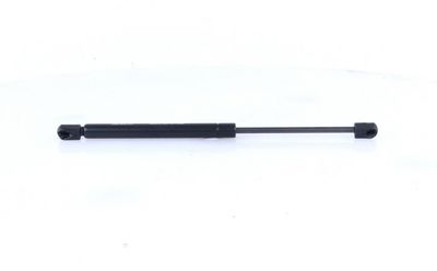 Dujinė spyruoklė, bagažinė