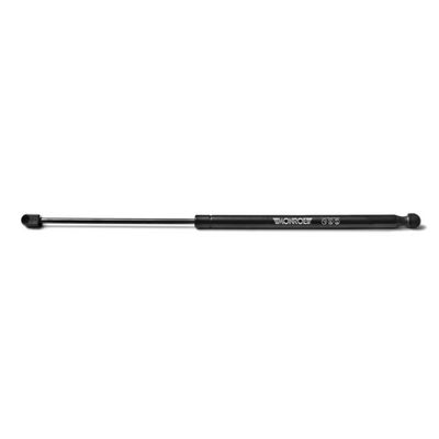 Dujinė spyruoklė, bagažinė