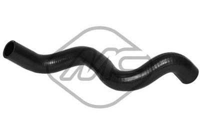 Radiatoriaus žarna