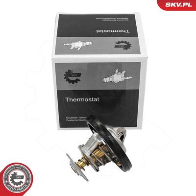 Termostatas, aušinimo skystis