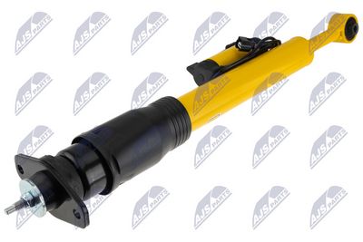 Amortizatorius A-CH-123 NTY