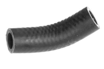 Alyvos žarna