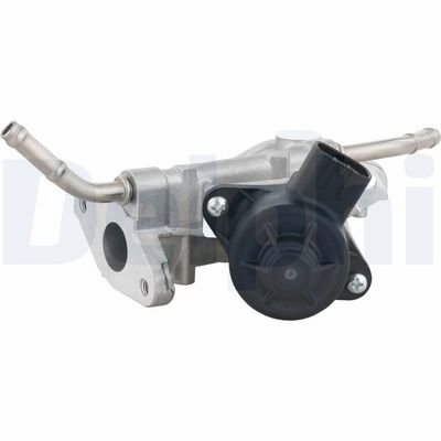 ERG vožtuvas